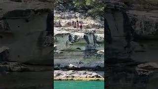 Gainer