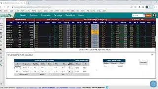 How to use Market Chameleon Options Profit Calculator for a Credit Put Spread