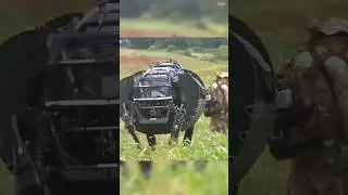 Robotic Mule field Testing👨&zwj;💻 #army #robotics #technology