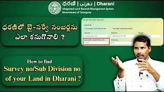 How to Find Your Land's Sub-Division Number on Dharani Portal | Step-by-Step Guide