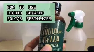 How to Use Liquid Seaweed Foliar Fertilizer