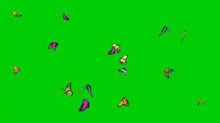 #Green_Skin_Video গ্রীন স্কিন প্রজাপতি 🦋 ভিডিও #free_video#Green_Video_Making