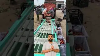 Amazing Apple grading machine