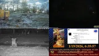 LIVE Back Yard Cam - Weather - Bee Hives - Security Feed - Indianapolis, IN USA