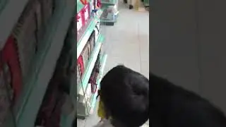 grocery shopping with minion mask 😷 ☺️