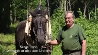 Balades au fil du Salon - Épisode 4 : Autour de la terre - Champlitte