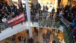 Portland protesters invade Pioneer Place Mall