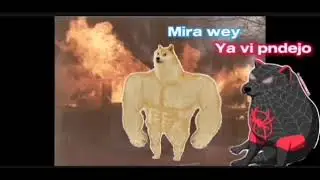 spider cheems[call of duty memes]