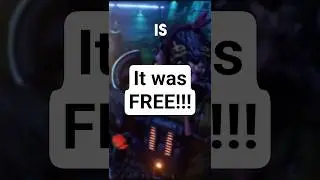 Borderlands 3 Review // Is it Worth It?!