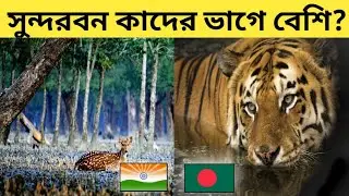India-Bangladesh: Who has more Sundarbans? | The Largest Mangrove Forest In The World