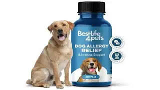 What to Know About this Holistic Dog Allergy Relief & Support!