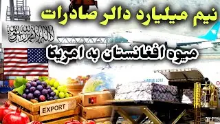 580 میلیون دالر آخرش صادرات شش ماه اول سال در بخش میوه خشک و تازه 