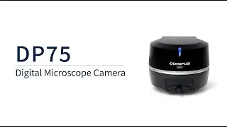 Brightfield and Fluorescence with One Digital Microscope Camera&mdash;Introducing the DP75