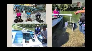 Value Added Potential: Assessing Sargassum's Viability for Bioethanol Production