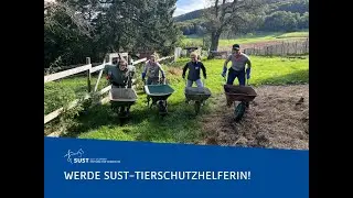 🐾 Wir brauchen DICH – werde SUST-TierschutzhelferIn!