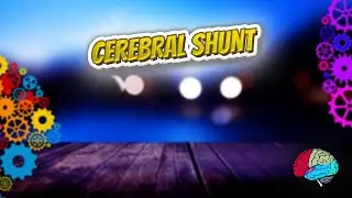 Cerebral peduncle - Know It ALL 🔊✅