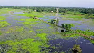 Beauty of Wetland 4K Aerial Footage Bangladesh ll Free stock footage l Free 4k Drone Video