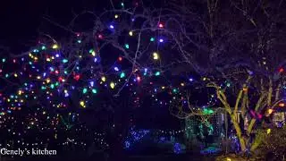 Milner garden & woodland Vancouver Island university Christmas magic @GenelysKitchen 