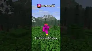 What Happened to Mineplex?