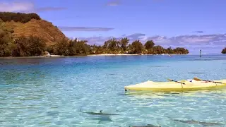 puhg