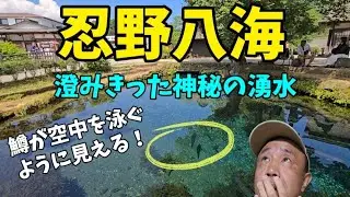 【神秘の湧水】忍野八海　澄み切った富士山の伏流水