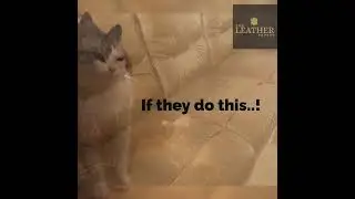 leather restoration, leather repair