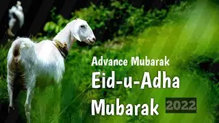 coming soon Eid-ul-Adha Mubarak status video!!! bakra eid !!