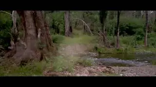 Soundscape - 13 Rivers Compilation | 2+ Hours | River | Creek | Nature Ambience