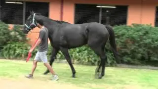 Lonnero 11th March 2016