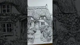 How to Draw TREES & PLANTS #drawingtutorial #inkdrawing