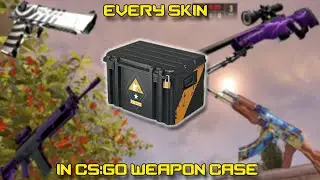 Every Skin In CSGO Weapon Case  - The Arms Deal Collection