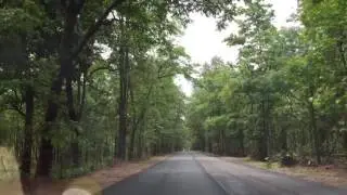 Mulugu to Eturnagaram road in dense forest