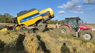CS6050 MASSEY FERGUSON ,RİCE HARVEST