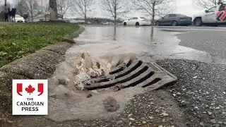 Familiar fate in Abbotsford as floodwaters gush in