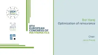 Bor Harej: Optimization of Reinsurance