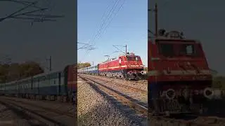 Jhansi Agra Passenger 01807 Train Arrives Gwalior Junction Outer || #shorts