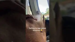 She Shows Her Hairy Legs&hellip; And Breaks Beauty Standards 🌿✨