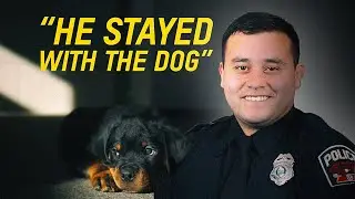 Murfreesboro Officer's Kindness Goes Viral: Murfreesboro Cop Spoon-Feeds Injured Dog