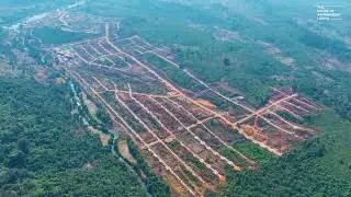 Celebration Land Neral A 100-acre Marvel at Foothills of Matheran 📞9552524937 HoABL Plots