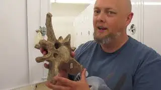 IMNH Collections Tour