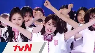 (Latest!!) Produce 48 Promo