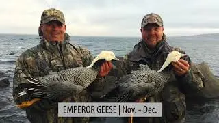 Cold Bay Alaska | Trophy Sea Duck, Brant, and Emperor Goose Hunting | Four Flyways Outfitters