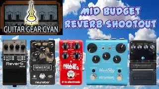 Mid-Budget Reverb Pedal Shootout | Neunaber | TC Electronic | Boss | Strymon | Digitech | Stompbox