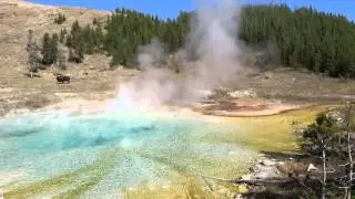 Imperial Geyser - Yellowstone