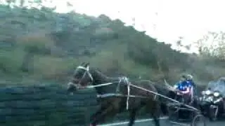 corse clandestine cavalli Luchino vs valentino.mp4 a muntagnia