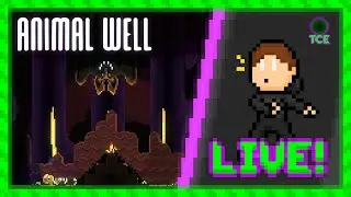 Lighting up! | Animal well #3