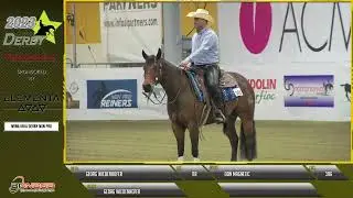 Derby 2023 - GEORG WIEDENHOFER & DON MAGNETIC score 216