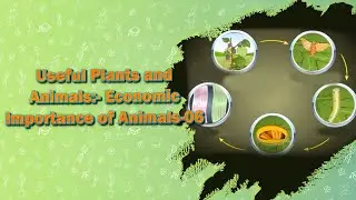 Useful Plants and Animals:- Economic Importance of Animals-06