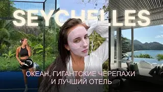 СЕЙШЕЛЫ ВЛОГ | отель Cheval Blanc, огромные черепахи, падел и цели на 2026 год