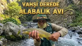 KARADENİZ ALABALIK AVI : Kırmızı Benekli Güzeller